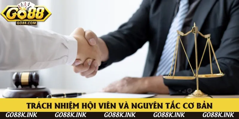 Điều khoản điều kiện mà hội viên cần phải tuân thủ khi tham gia GO88 Điều khoản điều kiện mà hội viên cần phải tuân thủ khi tham gia GO88